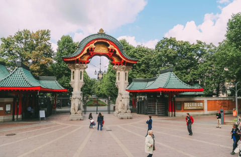 Learn about reintroduction programs at Berlin Zoo