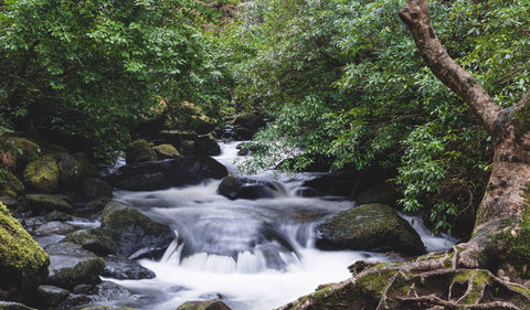 Ireland is safe for you to solo travel