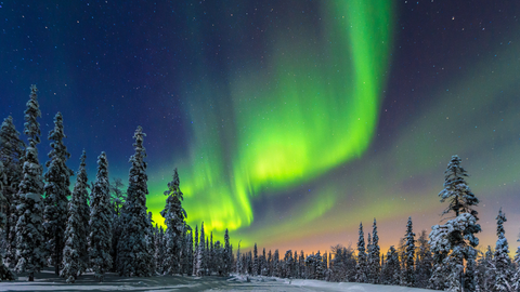 Charter buses to rent Finland